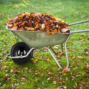 Produktbild für Schubkarrenrad Relaxdays 4.80/4.00-8, pannensicher Vollgummi