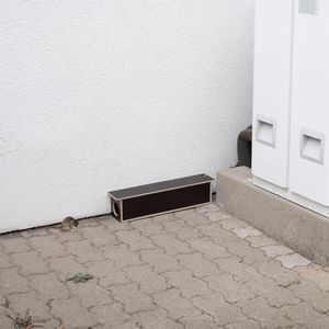 Produktbild für Rattenfalle Gardigo 62387
