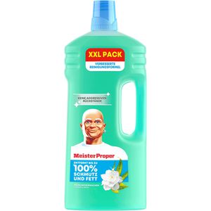 Allzweckreiniger Meister-Proper Frühlingserwachen