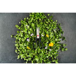 Produktbild für Küchenschere Zwilling Twin L, 41370-001-3, 20cm