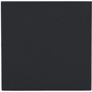 Schalter-Wippe Gira System 55, 329628