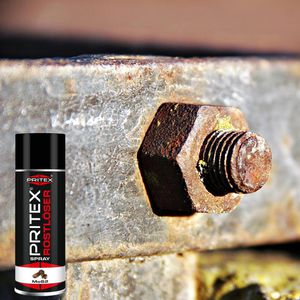 Produktbild für Rostentferner Pritex Rostlöser MoS2