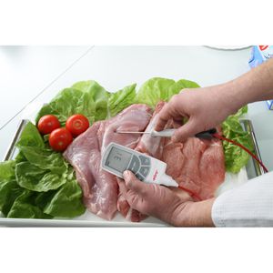 Produktbild für Einstichthermometer ebro 1340-5433, TFX 422C-60, digital