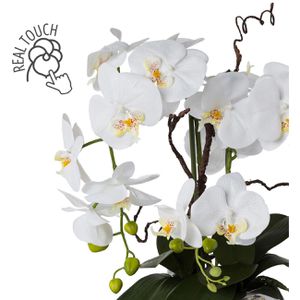 Produktbild für Kunstblume Creativ-green Orchidee, Phalaenopsis