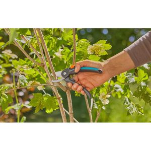 Produktbild für Gartenschere Gardena PremiumCut 12241-20, Bypass
