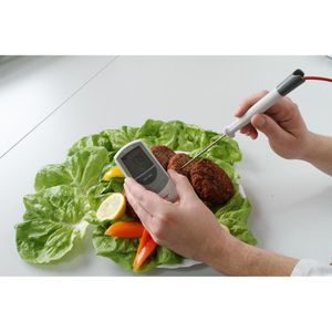Produktbild für Einstichthermometer ebro 1340-5410, TFX 410, digital