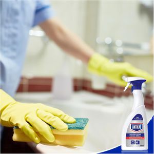 Produktbild für Badreiniger Antikal Professional