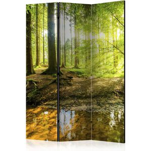 Paravent Artgeist Forest Lake, innen, 3-teilig