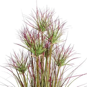 Produktbild für Kunstpflanze Creativ-green Zyperngrasbusch