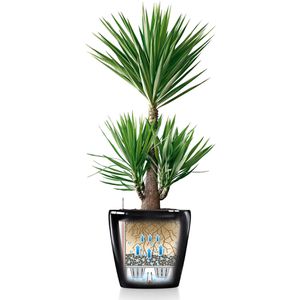 Produktbild für Übertopf Lechuza CLASSICO 60, anthrazit metallic, Ø 60 x 56 cm