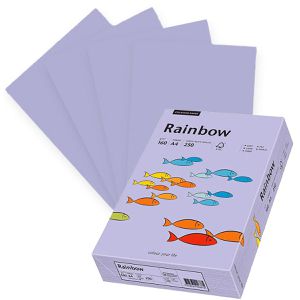 Kopierpapier Papyrus Rainbow 88042571