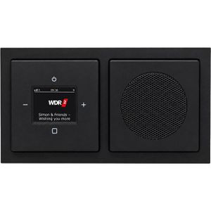 Produktbild für Radio Busch-Jaeger 8215 U-101 DAB+, Set