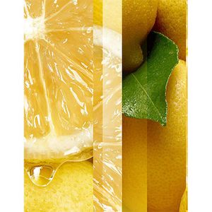 glade Raumduft Duftspray, TrueScent, 300 ml, Spray, mit ätherischen Ölen,  Fresh Lemon – Böttcher AG