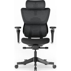 Produktbild für Bürostuhl FlexiSpot C7B-Max