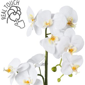 Produktbild für Kunstblume Creativ-green Orchidee, Phalaenopsis