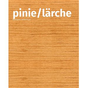 Produktbild für Holzlasur Remmers Holzschutz-Creme 3in1, 2,5l