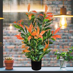 Produktbild für Kunstpflanze Decovego Glanzmispel Photinia