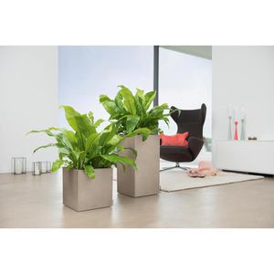 Produktbild für Übertopf Lechuza CANTO Stone 40 high, sandbeige, 40x76x40 cm