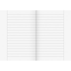 Produktbild für Schulheft Brunnen 104510901, für 4. Klasse, A5