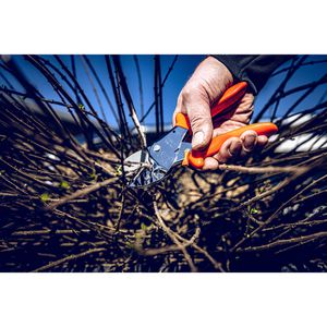 Produktbild für Gartenschere Original-LÖWE 1.104, Amboss