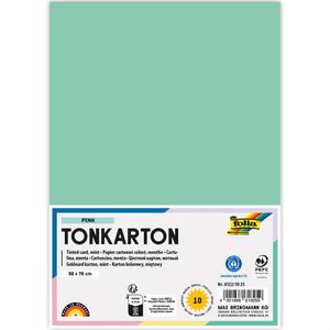 Folia Fotokarton 6122/10 25, 50 x 70 cm, mint, 220g/m², 10 Blatt