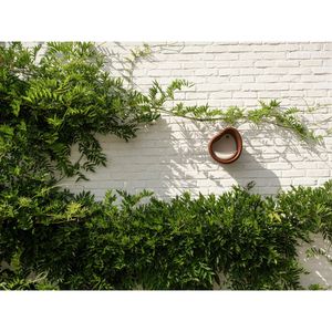 Produktbild für Vogelhaus elho Organic, braun, aus 100% recyceltem Kunststoff