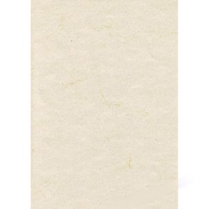 Zanders Briefpapier 88001579, weiß, A4, Elefantenhaut, 190 g/m², 50 Blatt