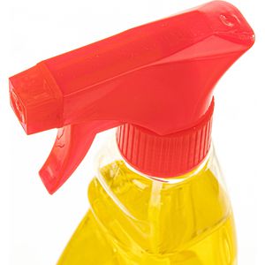 Produktbild für Badreiniger Reinex 99, mit Citruskraft