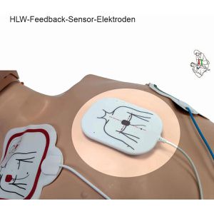 Produktbild für Defibrillator Primedic myPAD LCD, für Laien