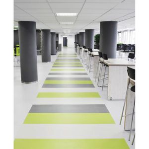 Produktbild für Grundreiniger Dr.Schutz R, für elastische Böden