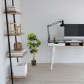 Produktbild in Größe 120