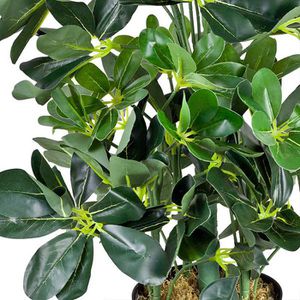 Produktbild für Kunstpflanze Decovego Schefflera Arboricola
