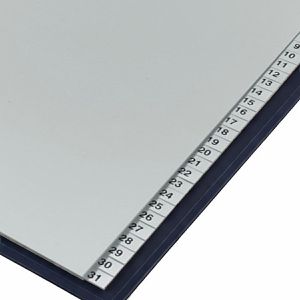 Produktbild für Register Böttcher-AG Premium, A4 Überbreite, 1-31