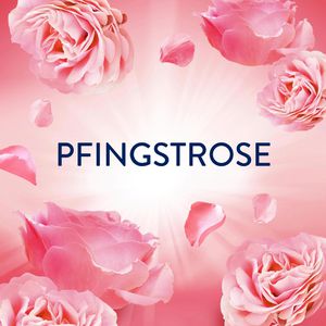 Produktbild für Wäscheparfüm Lenor Pfingstrose &amp; Hibiskusblüte