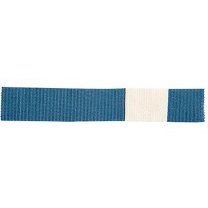 Plum Pflaster QuickFix Detectable blau, 30 Strips, detektierbar, 12 x 2 cm  – Böttcher AG