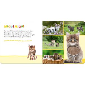 Produktbild für Spielbuch ars-Edition Lieblingstiere Hör mal rein