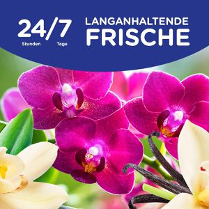 Produktbild für Weichspüler Softlan Ultra Vanille &amp; Orchidee