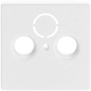 Zentralplatte Busch-Jaeger 1743-84