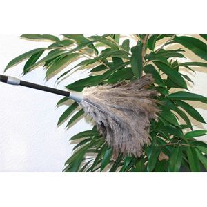 Produktbild für Staubwedel Maximex Straußenstaubwedel