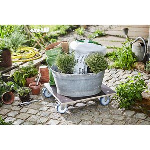 Produktbild für Pflanzenroller Wagner-System GH 1358, bis 300 kg, 58 x 58 cm