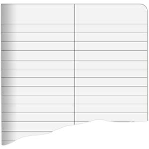 Produktbild für Vokabelheft Staufen Style 040632053, A6