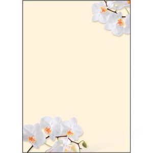 Briefpapier Sigel DP904, White Orchid, A4