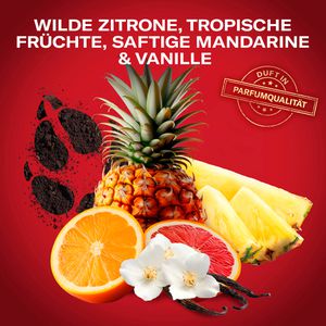 Produktbild für Duschgel Old-Spice Wolfthorn 3in1