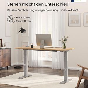 Produktbild für Schreibtisch FlexiSpot E7S 2026, ahorn / grau