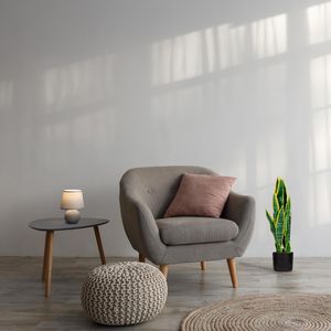 Produktbild für Kunstpflanze meet-powered-by-PAPERFLOW Sansevieria