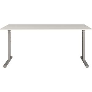 Produktbild für Schreibtisch Germania Profi 3.0, 4253-583, lichtgrau / silber