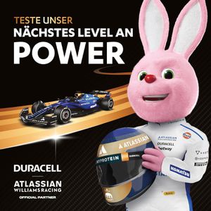 Produktbild für Batterien Duracell Plus Power Boost, Alkaline