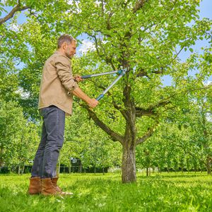 Produktbild für Astschere Gardena EasyCut L, 12031-88, Bypass