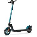 SCOTEX E-Scooter AG 20km/h, Traglast – Straßenzulassung, Böttcher silber, Reichweite 30km 100kg, H10