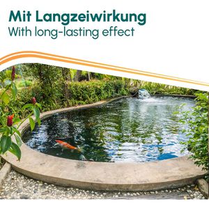 Produktbild für Algizid INOX Algenfrei Teichreiniger &amp; Brunnenpflege